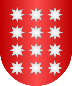 ESCUDO SIGUIENTE